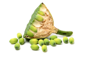 How to grow lotus from seed