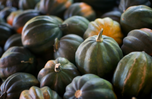 How to harvest acorn squash