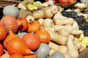 When to harvest winter squash