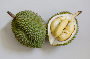how to grow durian from seeds