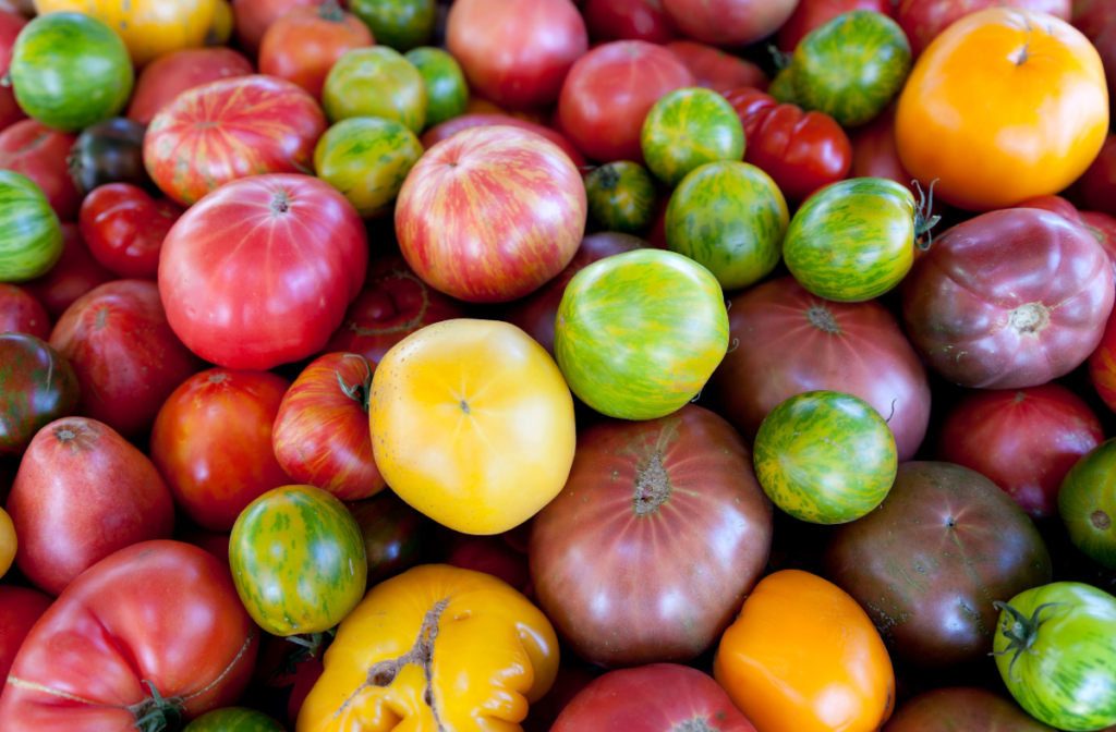 the ultimate guide to growing tomatoes